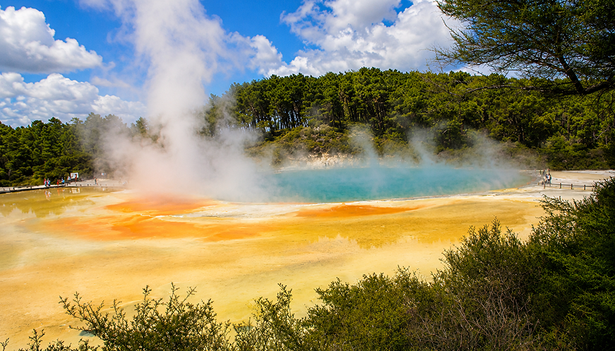 Private 3-Day Auckland Hobbiton Hamilton Rotorua Waitomo tour